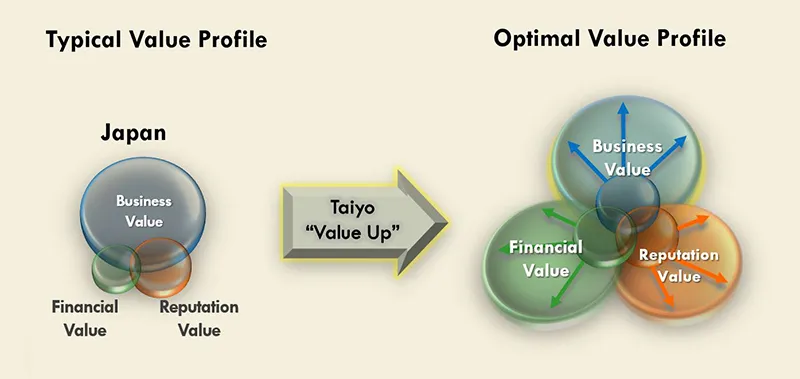 Taiyo Strategy Graph